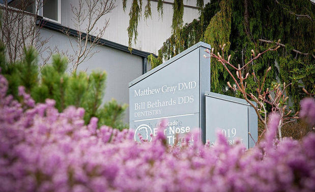Images Madrona Dental Care