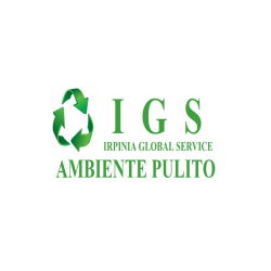 Irpinia Global Service Logo