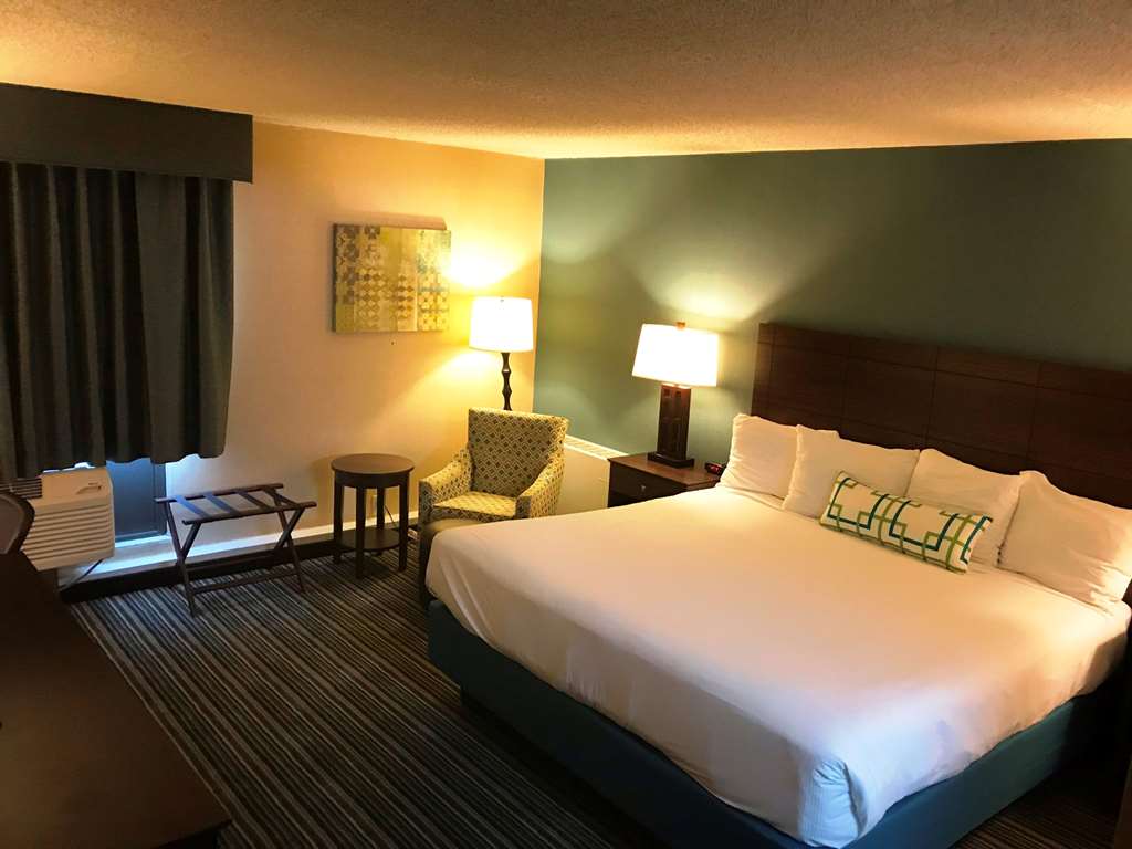 King Bed Room