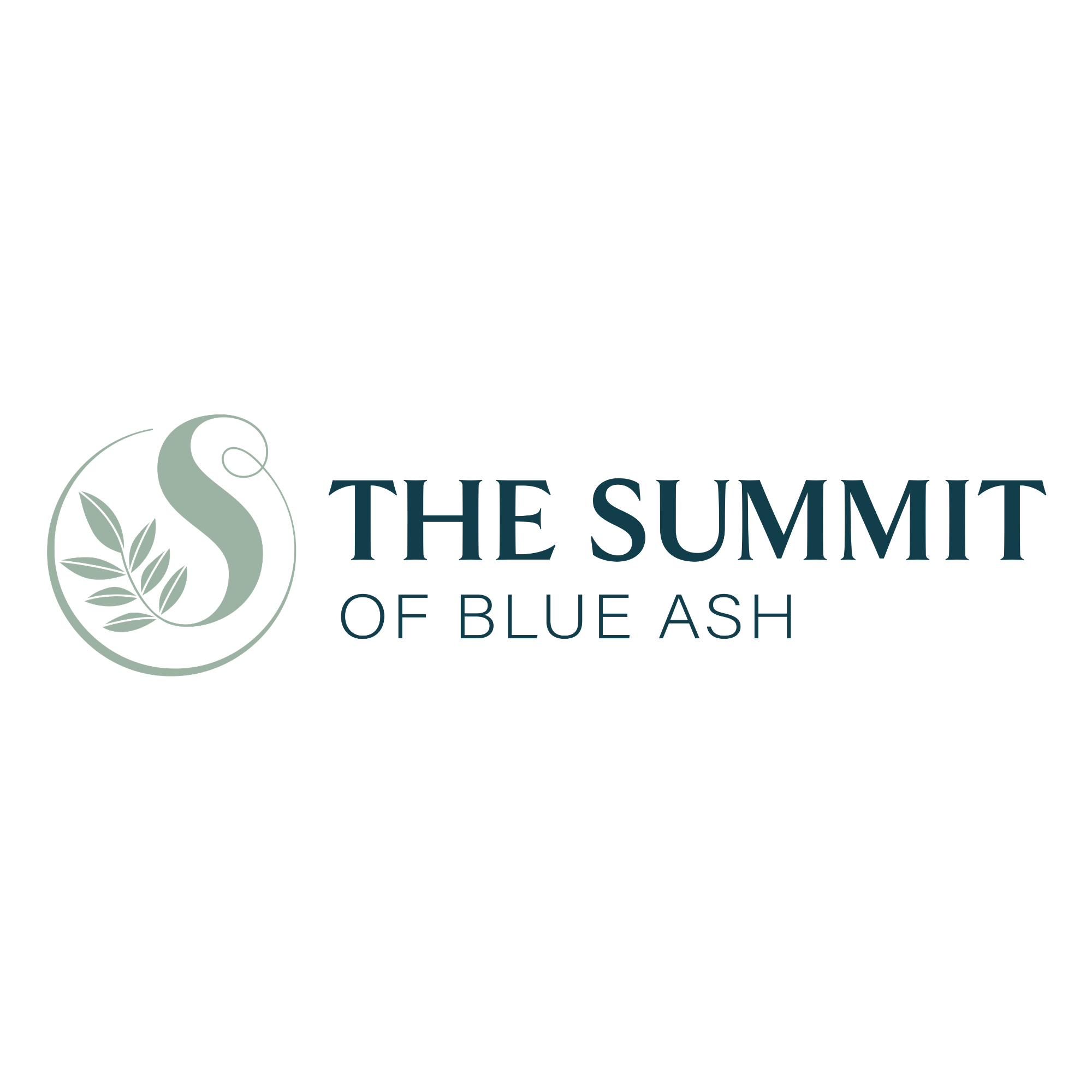 The Summit of Blue Ash