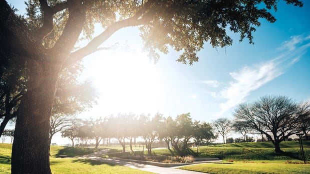 Images Toll Brothers at Woodland Estates