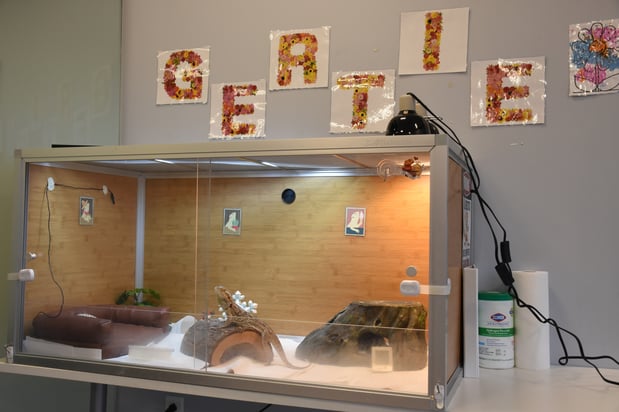 Images Caravel Autism Health