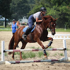 Images Star Ridge Stables
