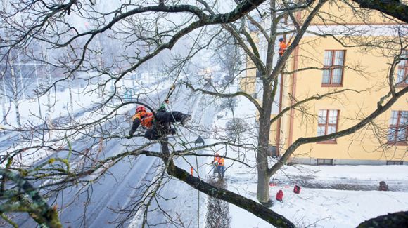 Images Touran Puu-apu Oy