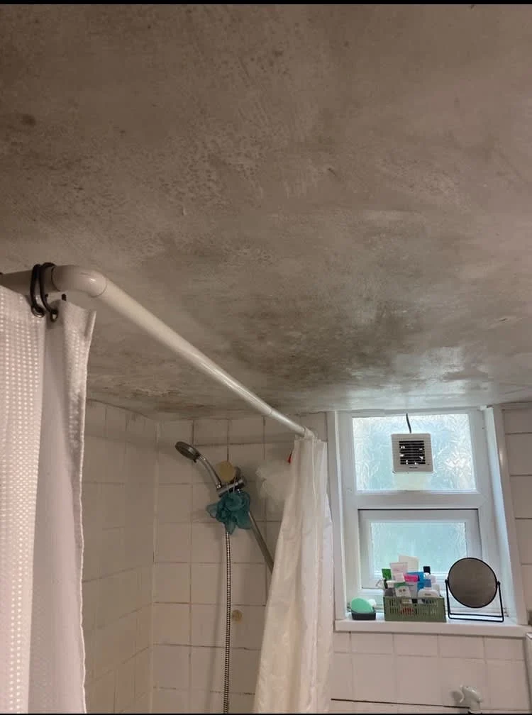 Images Housing Disrepair Experts