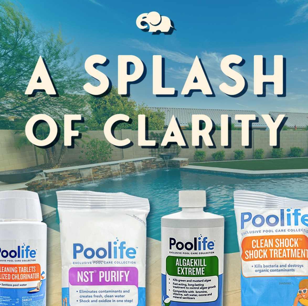 PoolLife NST Purifty, clean shock, aleaekill cleaner and bundle from epoolsupply