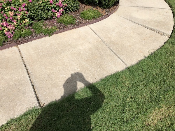 Images Ox Foundation Solutions