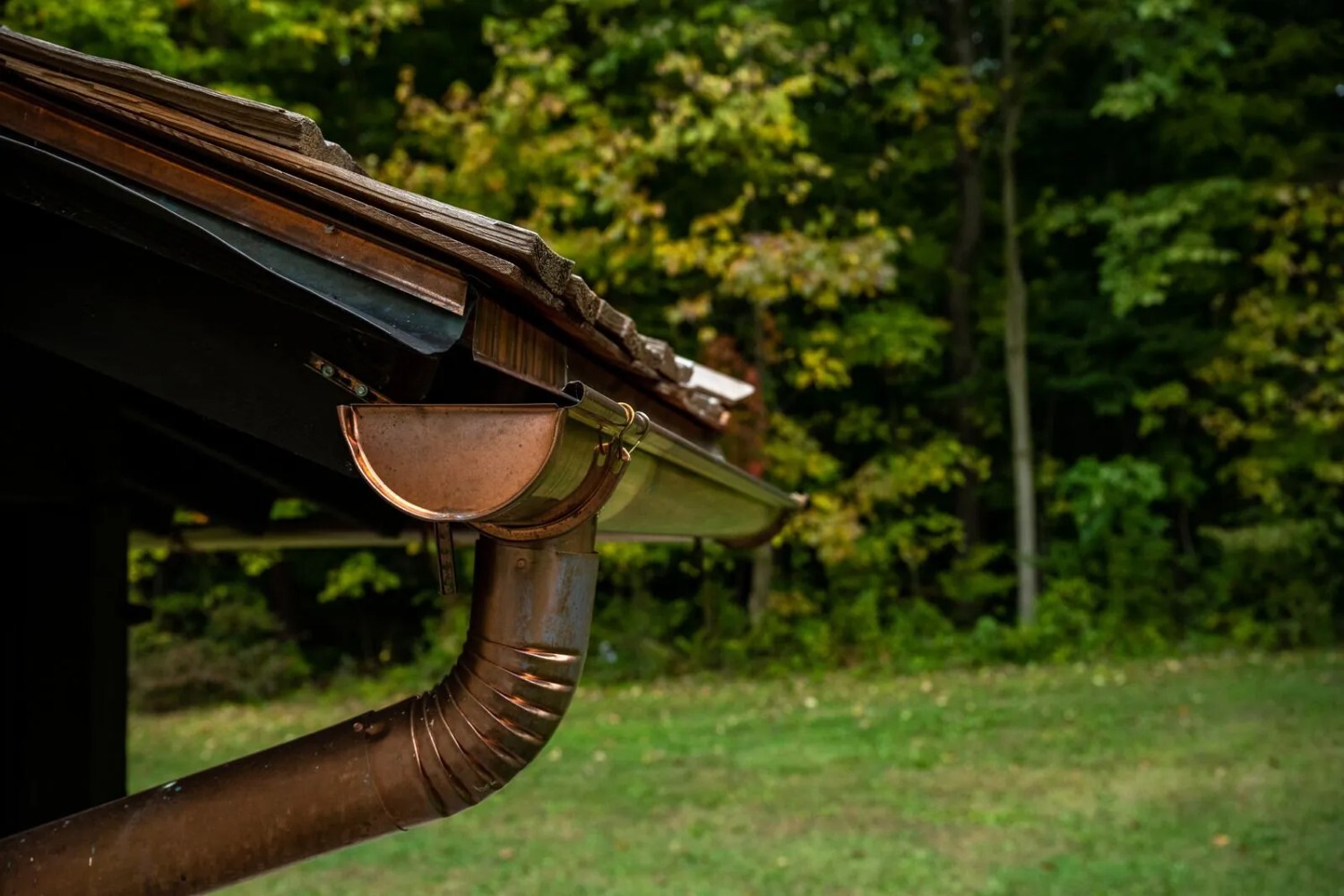 A rustic copper gutter and downspout on an aged wooden roof, set against a lush green forest with autumn foliage.