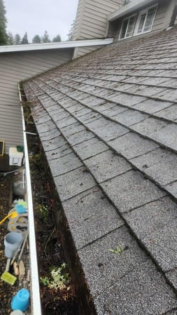 Images NJM Roof & Gutter Cleaning