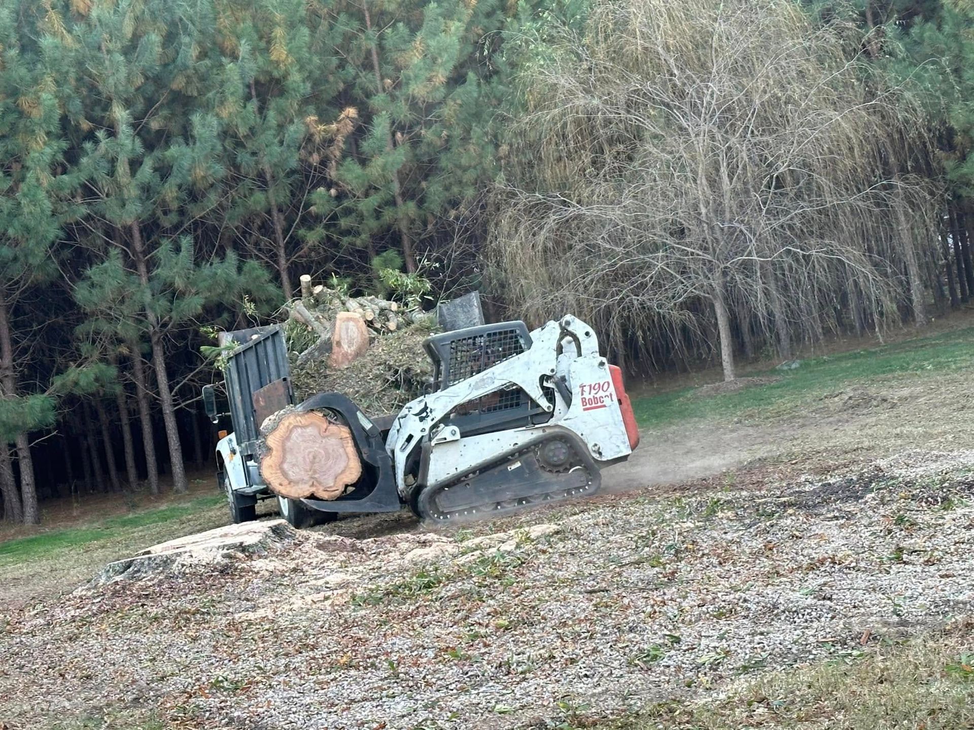 Cook's Tree Service Image