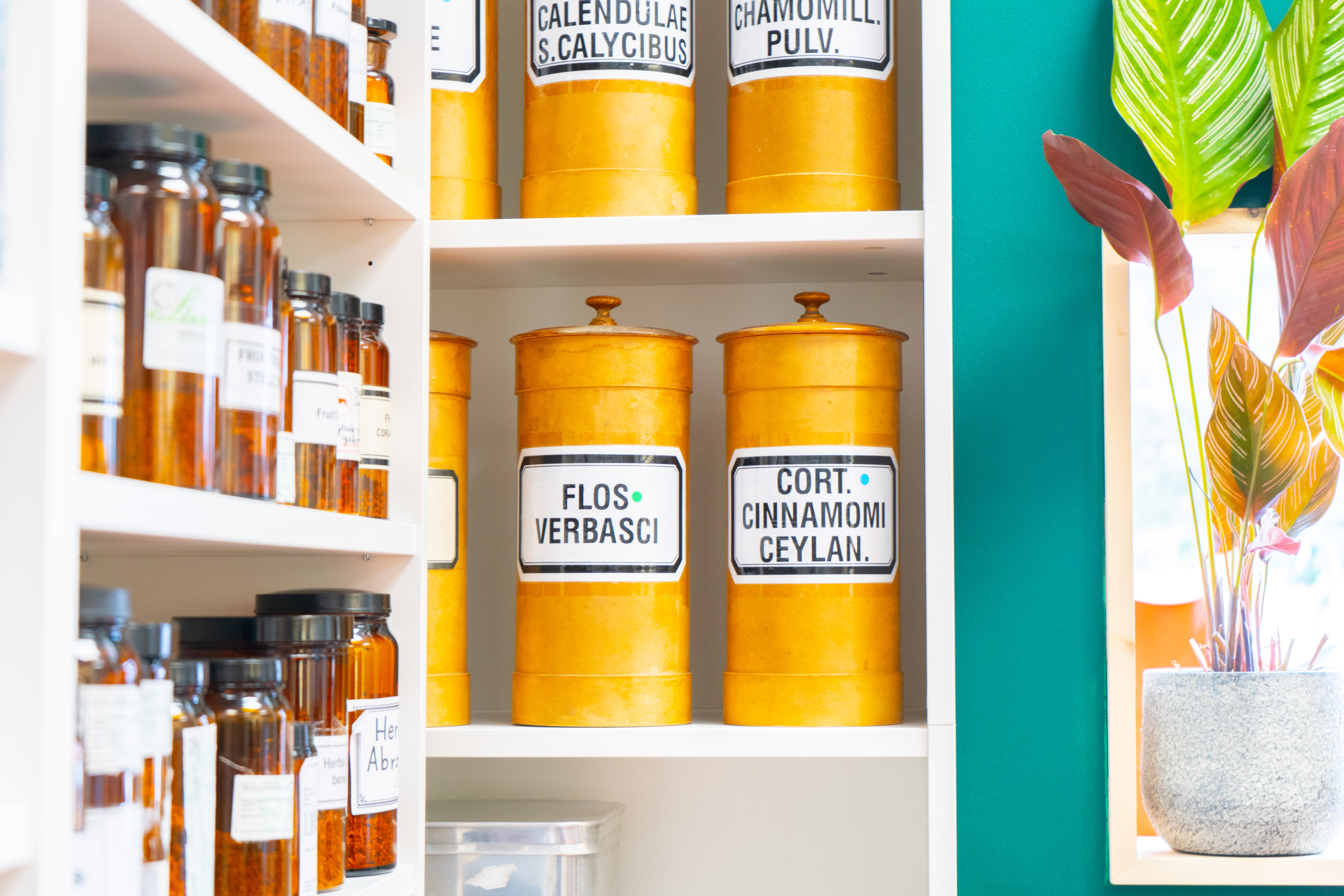 Bild 6 von Löwen-Apotheke Bischofshofen KG