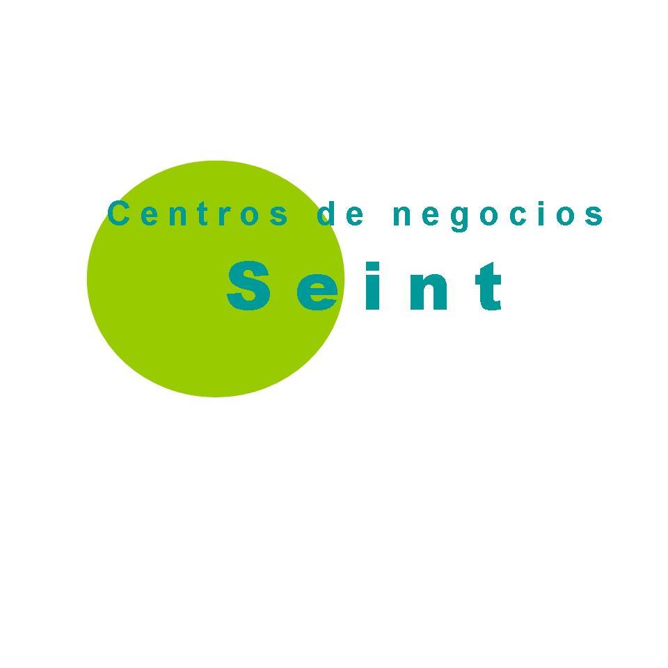 Seint Centro De Negocios Logo