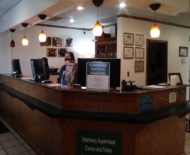 Images VCA Cherokee Animal Hospital
