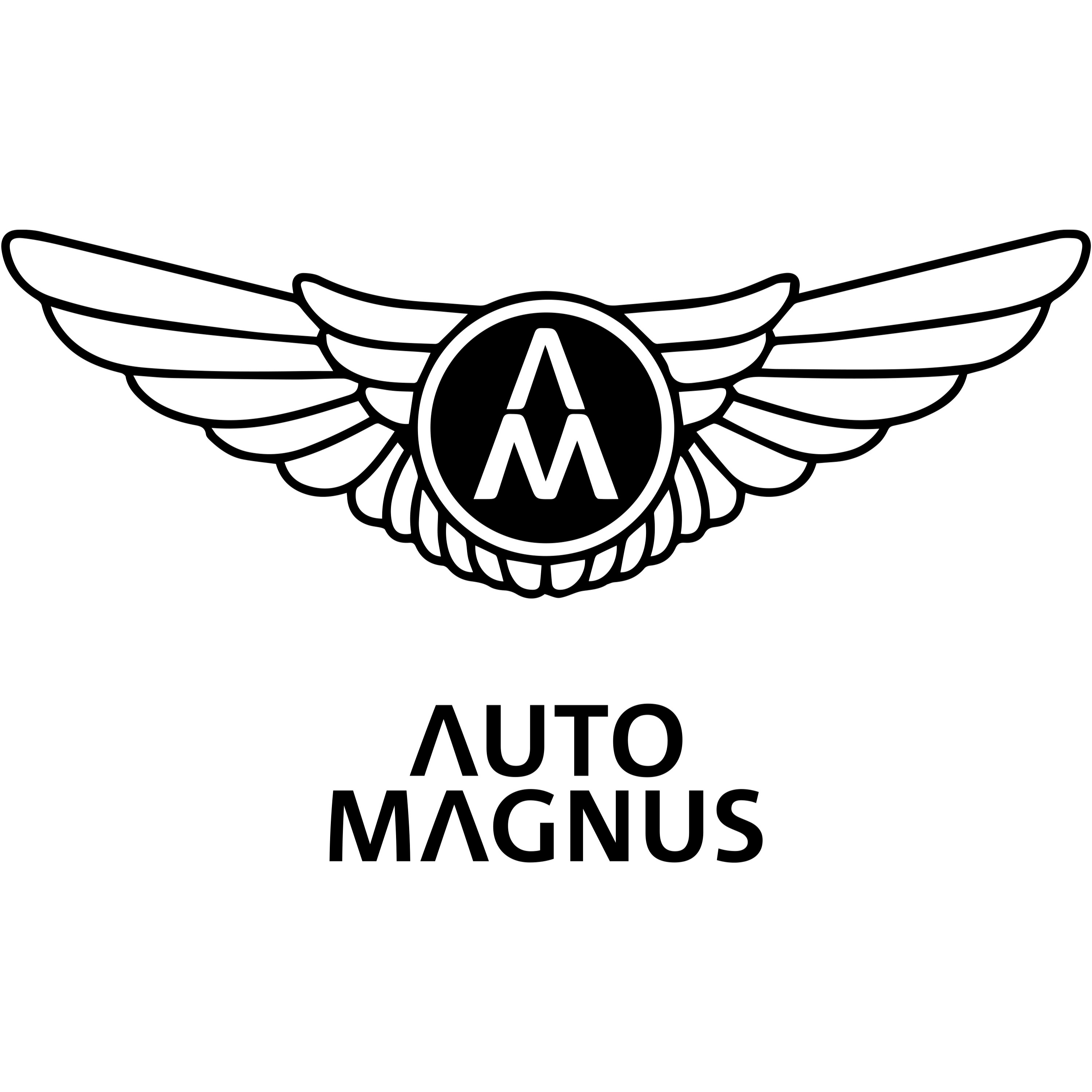 Auto Magnus GmbH