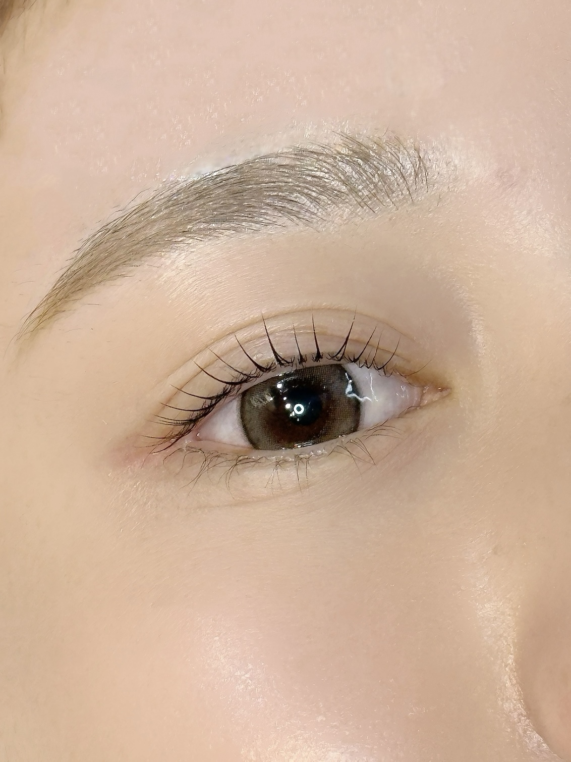 Images THE VITAE（旧 DRESSER）