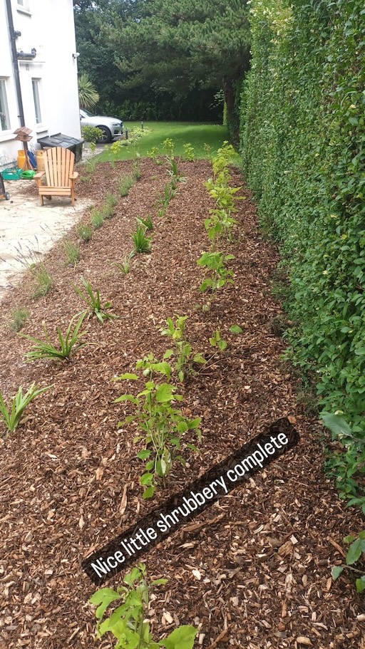 Shrubbery