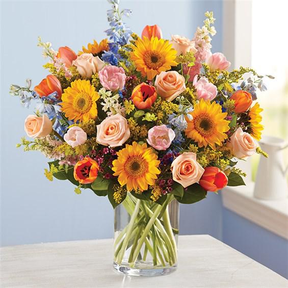 Spring Sensation™ - There’s so much to love about spring…but it’s the bright, beautiful blooms that make it truly sensational!