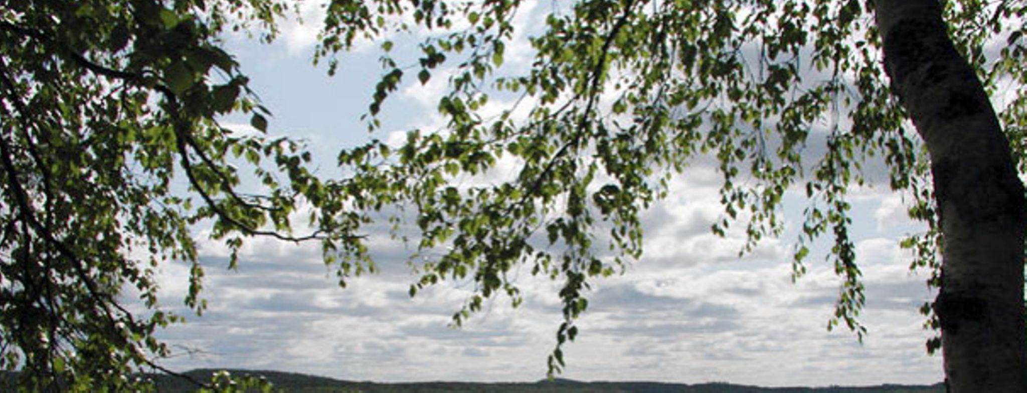 Images Juppi-laituri Oy
