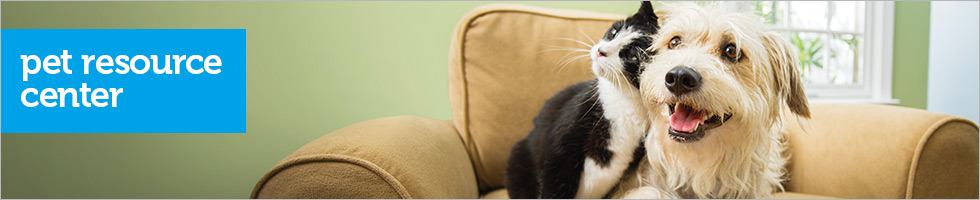 Pet Central 5280