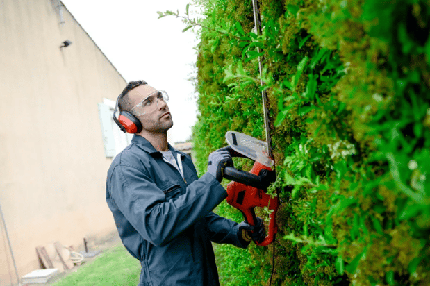 Images Roger's Tree And Asphalt Services LLC