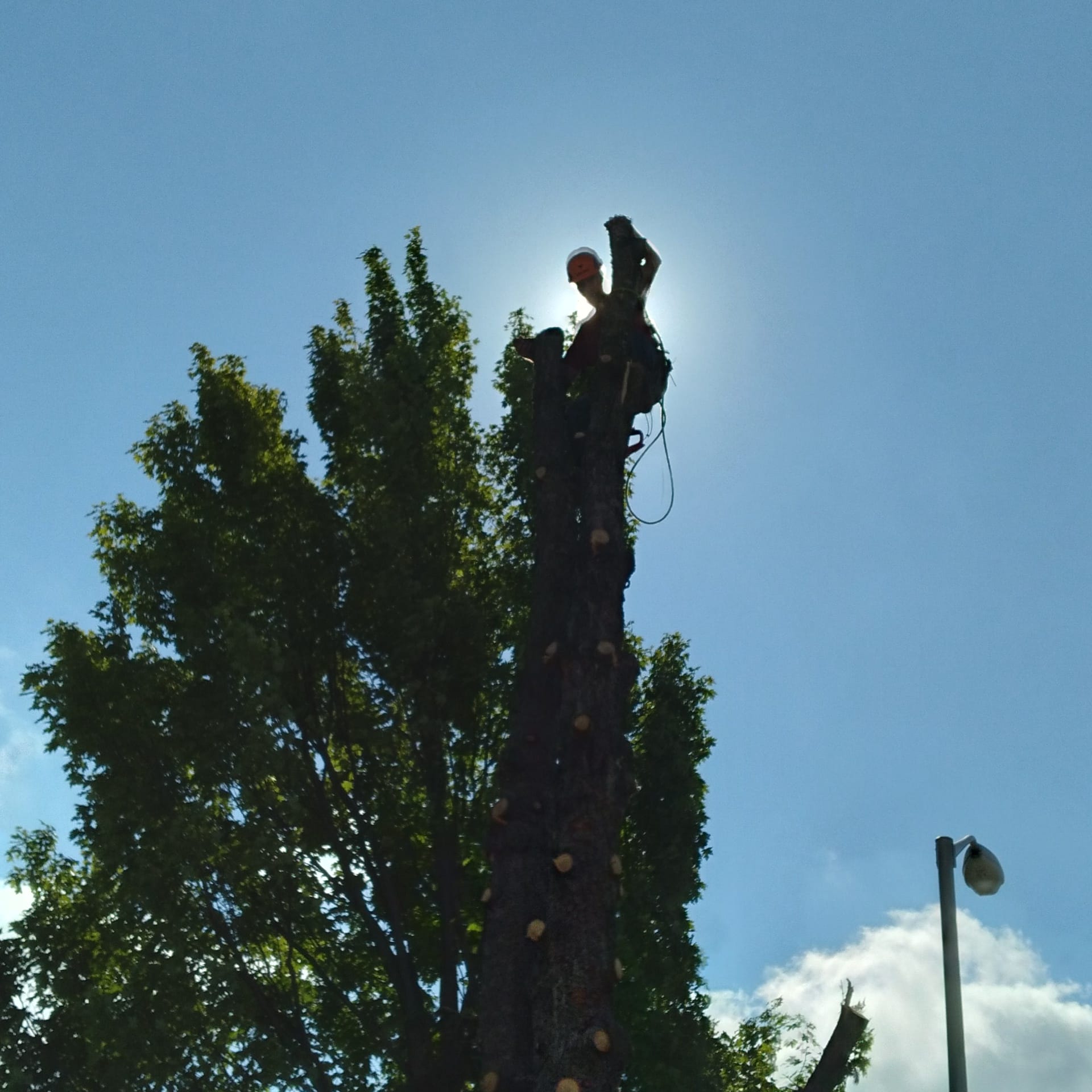 Earthbound Builders LLC Logo