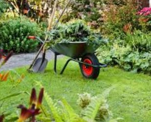 Images Linea Verde di Marrocco Pantaleo