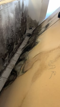 Images Voda Cleaning & Restoration