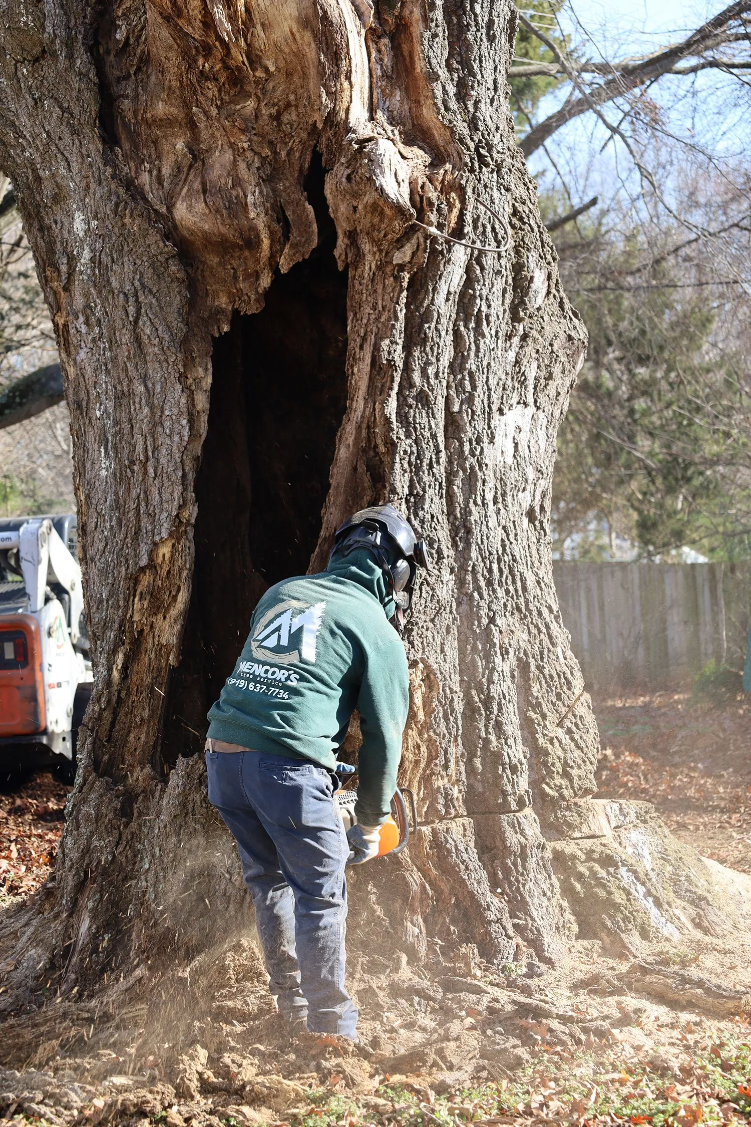 Mencor's Tree Service Image