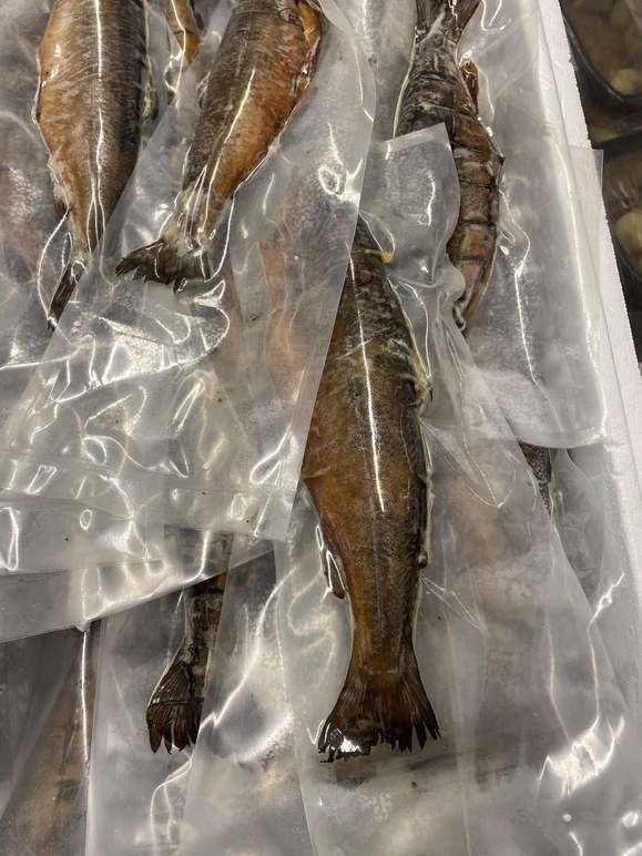 Images Fisk & Skaldjur i Gävle AB