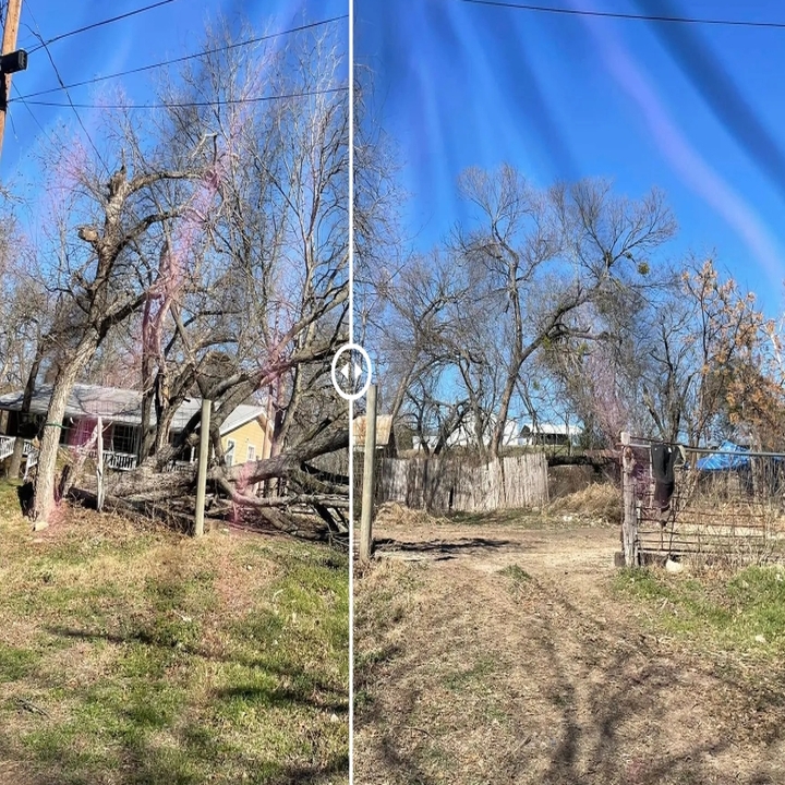 Images Cody's Tree Services