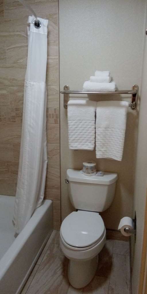 RS DD Toilet Best Western Plus Otonabee Inn Peterborough (705)742-3454