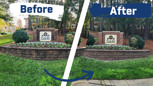 Images Window Hero Charlotte