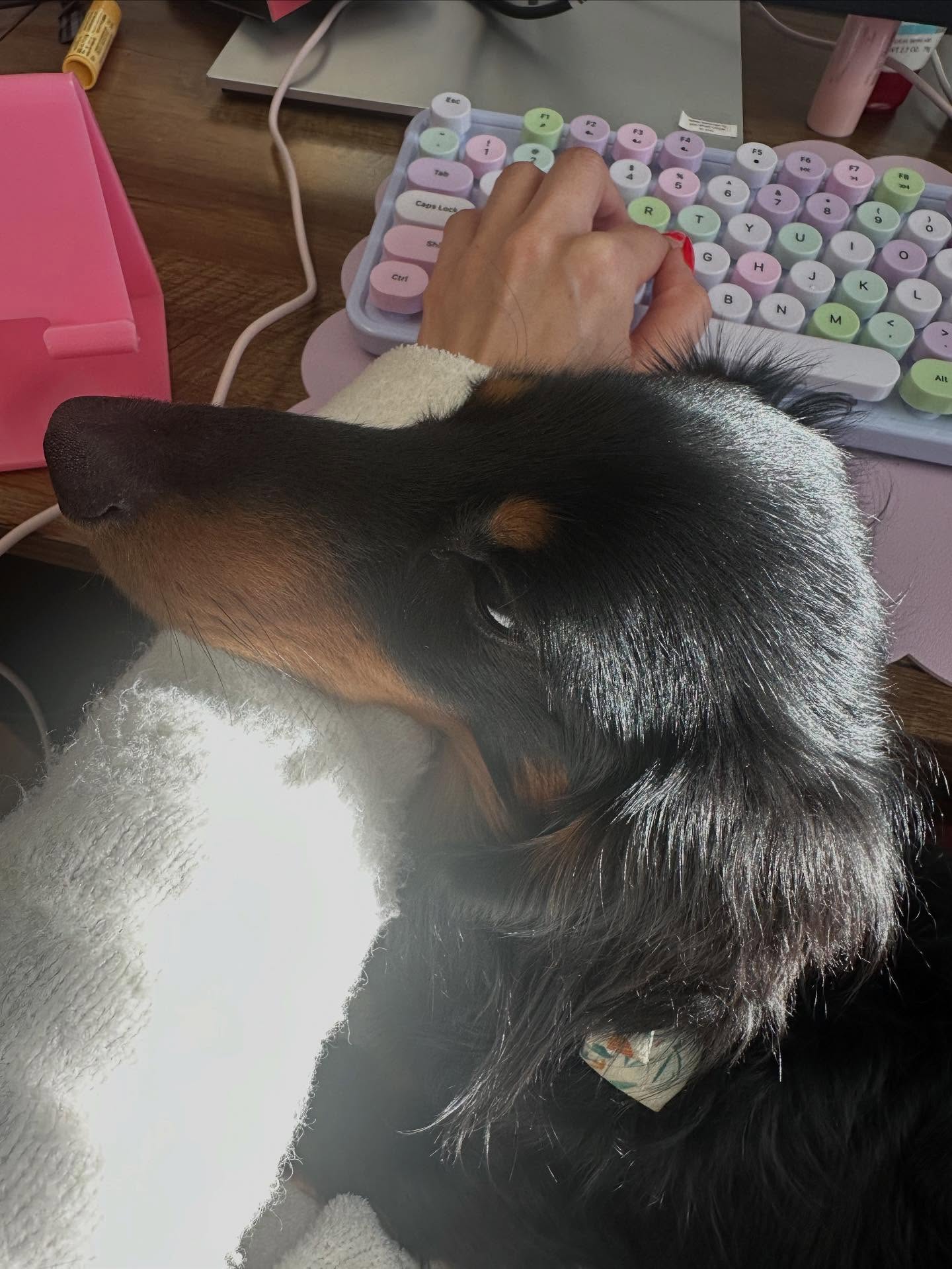 New office, new employee!