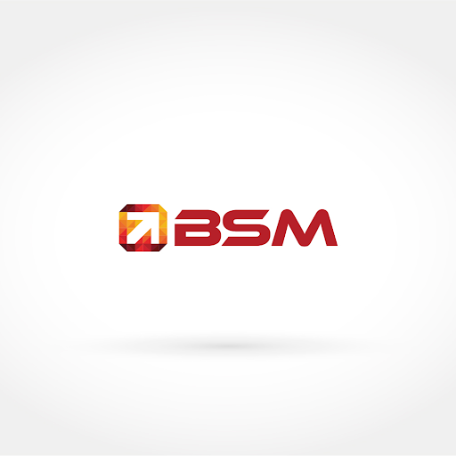 BSM - A Los Angeles SEO Company Logo