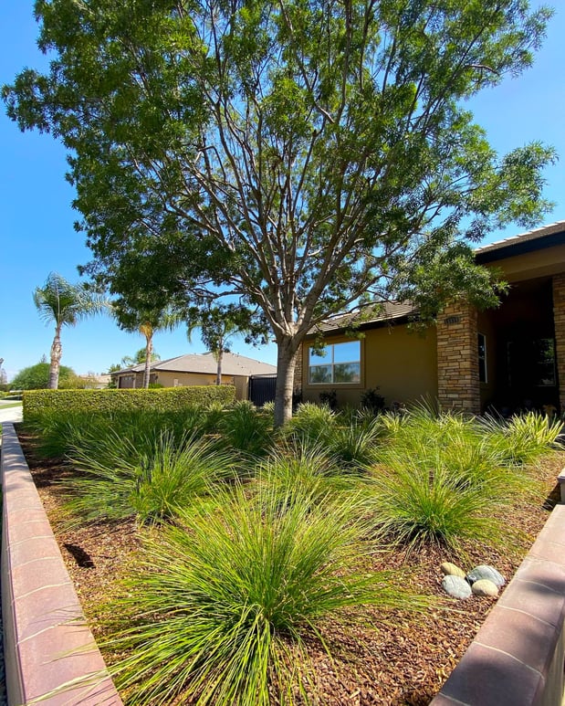 Images Monji Landscape Companies