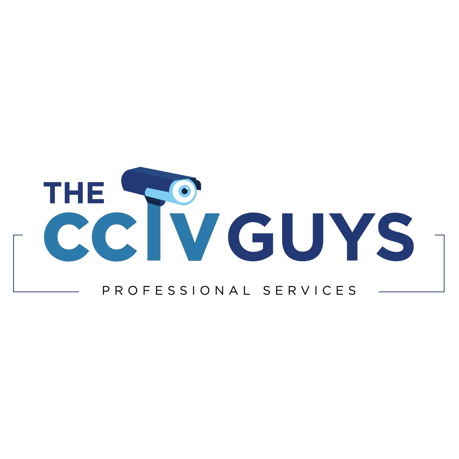 The Cctv Guys Professional Services