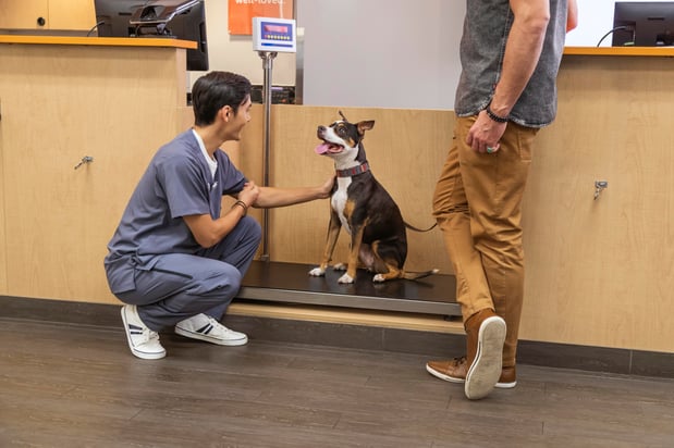 Images Banfield Pet Hospital