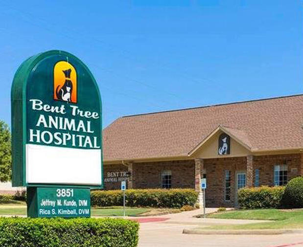Images VCA Bent Tree Animal Hospital