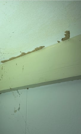 Images Precision Pest Control LLC