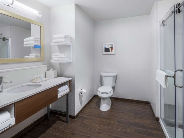 Images Hampton Inn Chicago McCormick Place