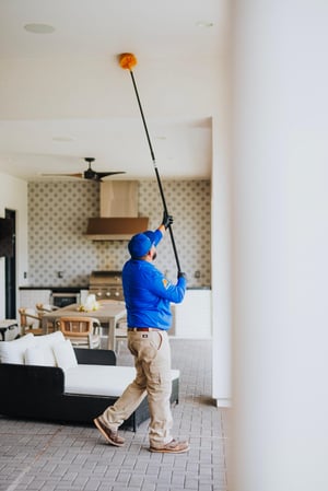 Images ACTION Termite & Pest Control