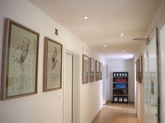 TCM Praxis Zürich, Goethestrasse 22 in Zürich