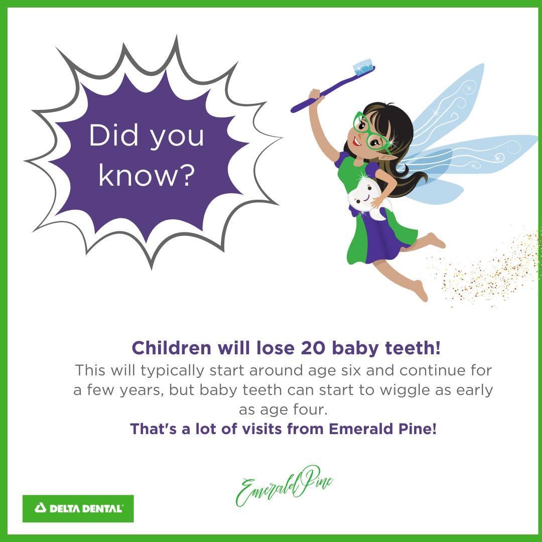 Delta Dental of North Carolina in Raleigh, NC 27609 (800) 9...