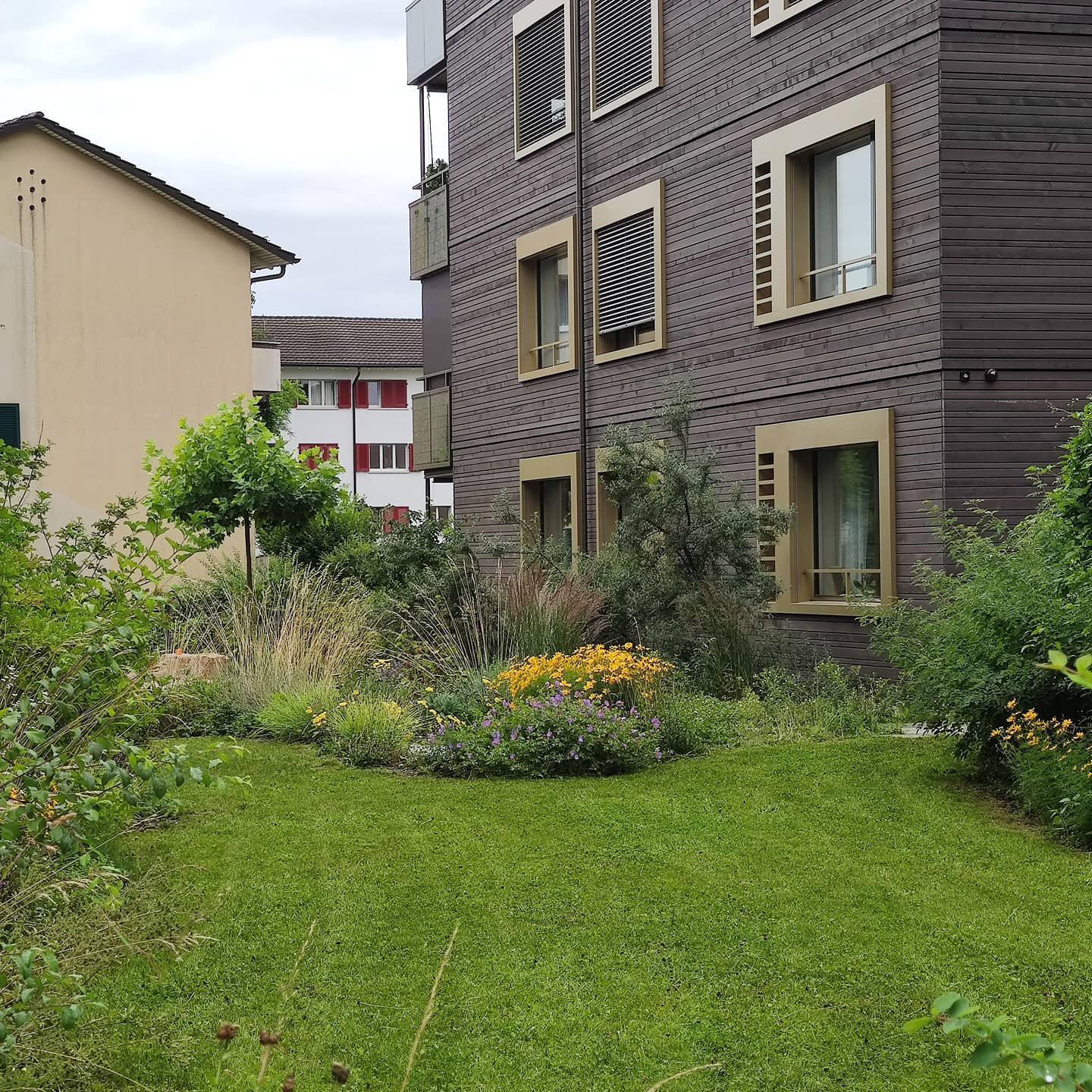 Bilder LEDER Garten- + Landschaftsbau