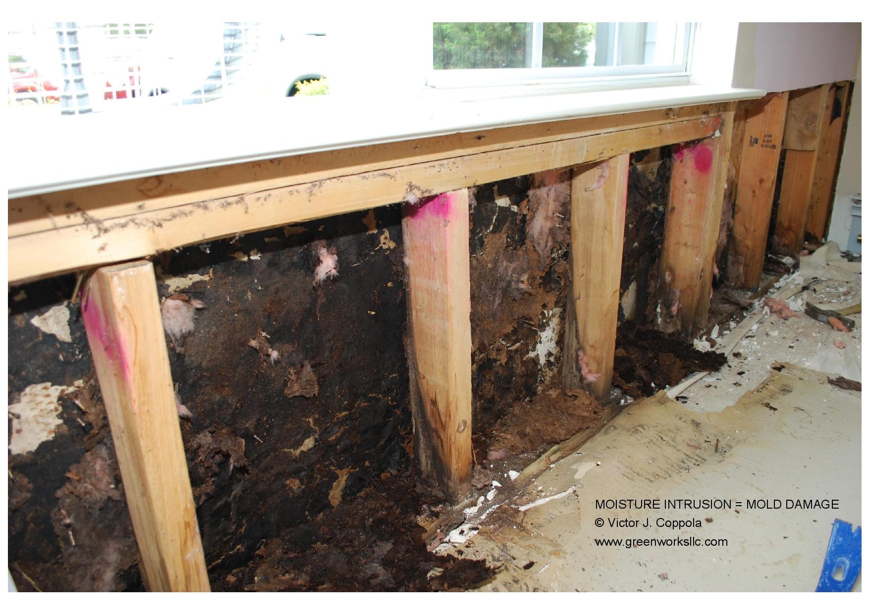 Hidden mold inspection photo showing mold growth behind wall materials, highlighting how hidden mold can appear in unexpected areas.