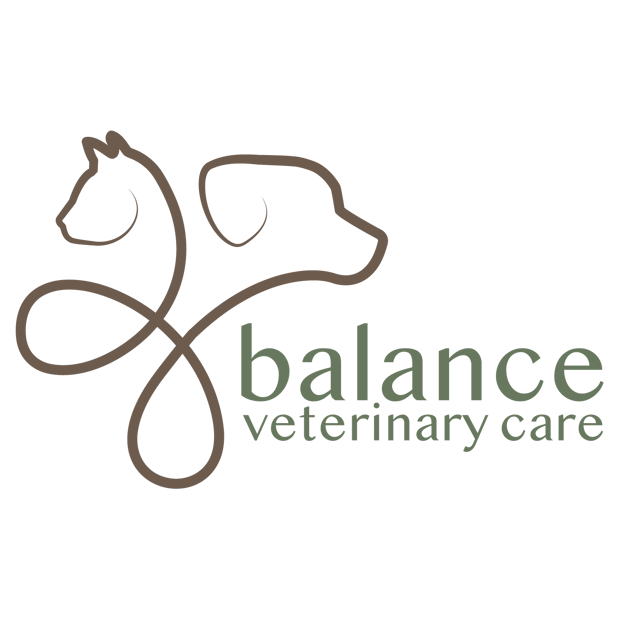Images Balance Veterinary Care