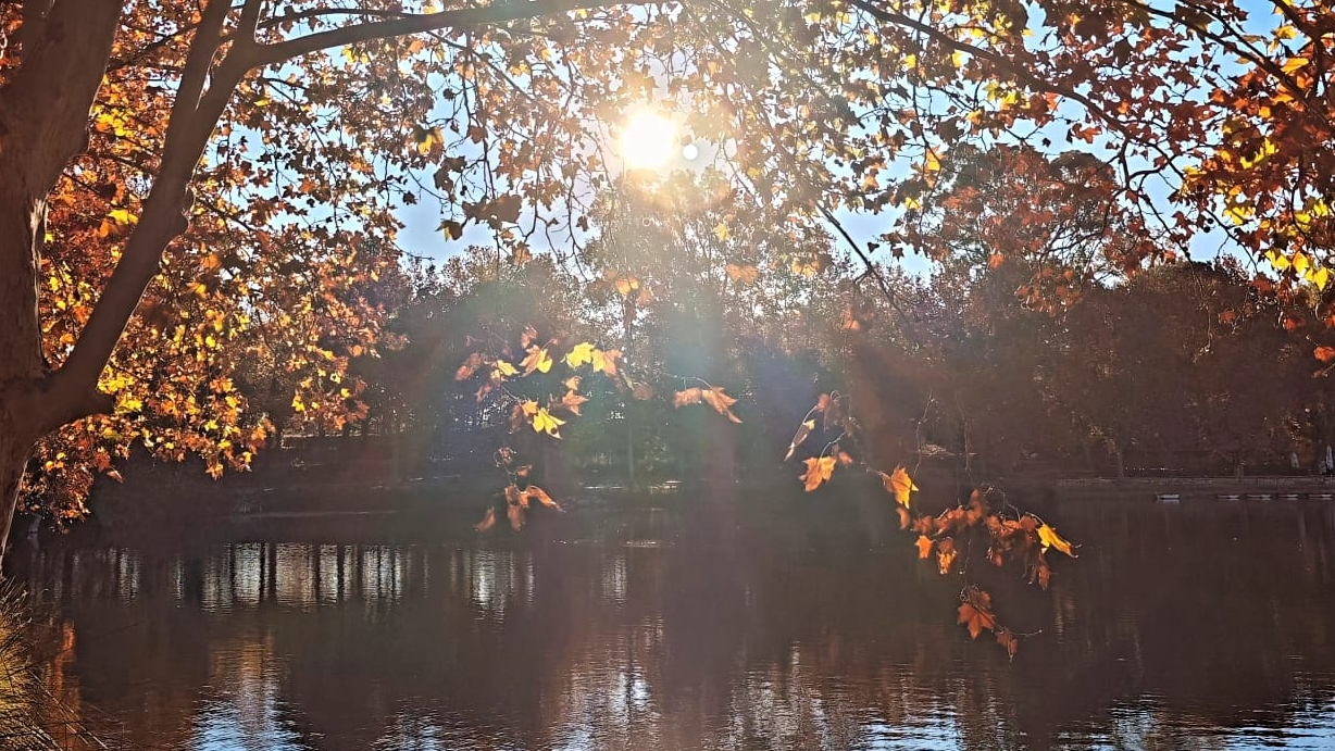 Images CASA Y CABAÑA DEL LAGO