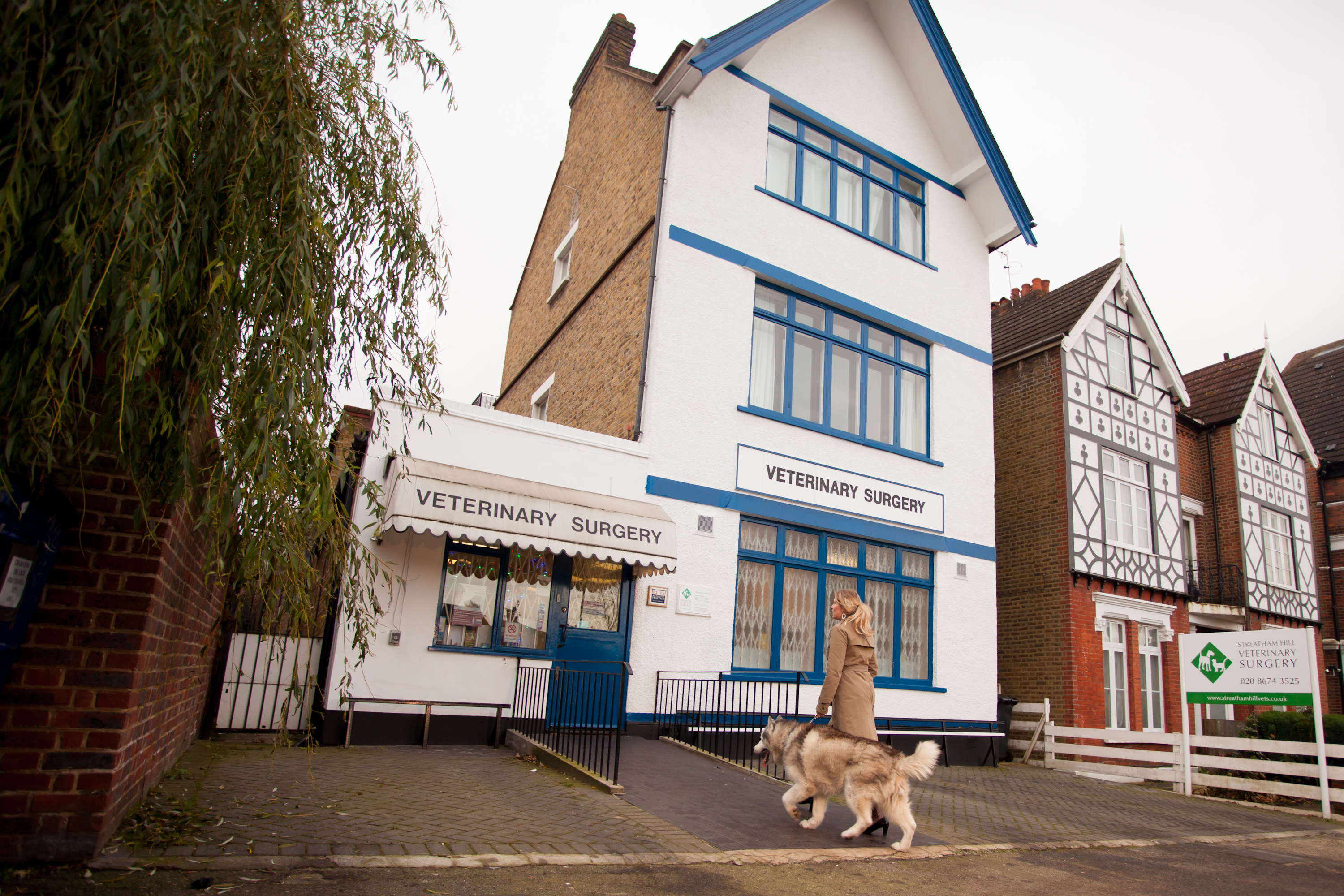 Images Streatham Hill Veterinary Surgery