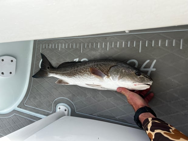 Images Eastern Tailz Outfitters