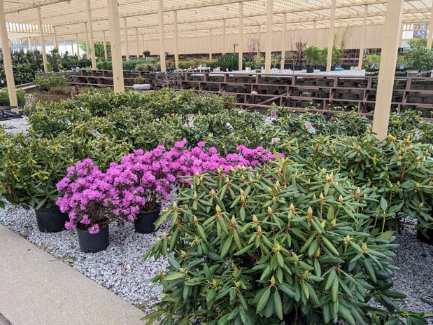 Images Grant Line Garden Center & Nursery